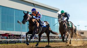 Chip Honcho, Ocelli Finish 1-2 in Exciting Ohio Derby